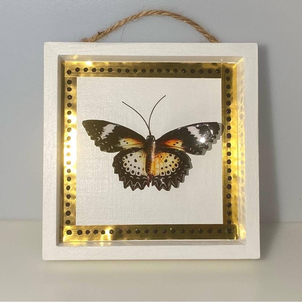 Butterfly Shadow Box